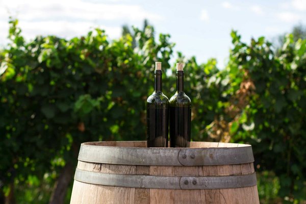 Le vin naturel expliqué : pourquoi et comment l'adopter